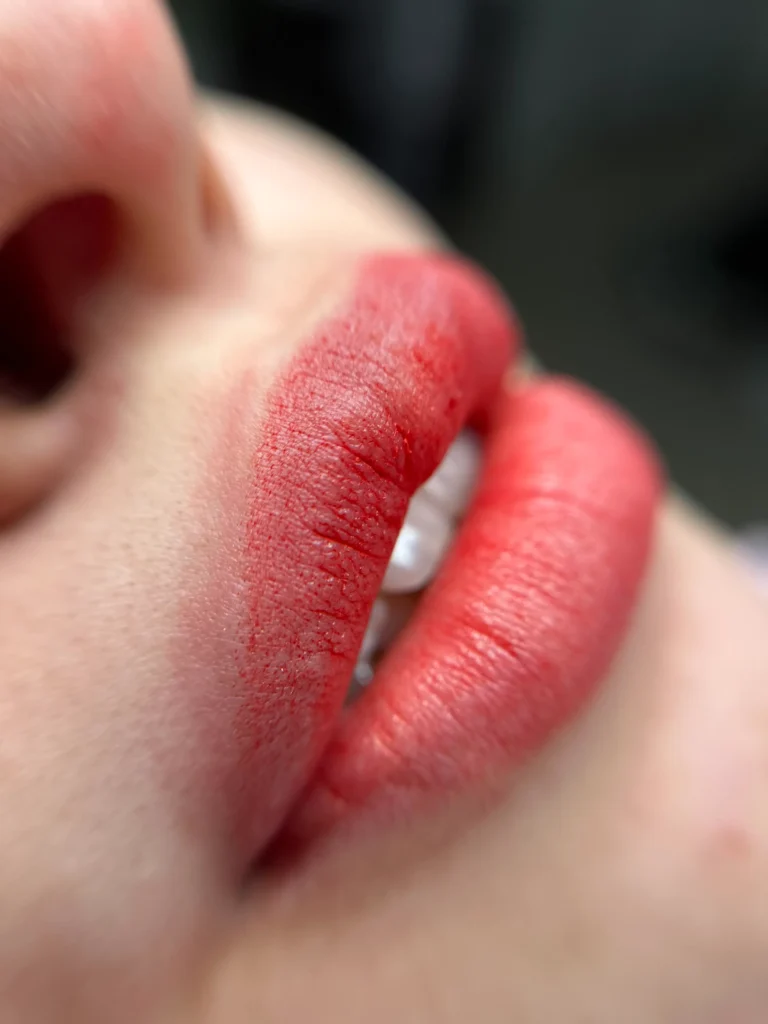 Lip Blush by Tara Nikbakht – Tara Beauty Studio, North Vancouver